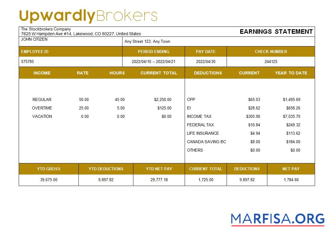 Blank Stockbrokers company payslip real example
